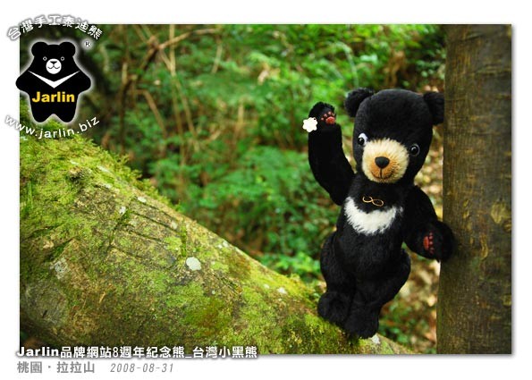 呵呵~ 我小黑熊是爬樹高手喔！