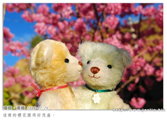 090226_清境 (9).jpg