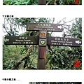 080120_10_路標.jpg