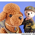 20080604_穿著迷彩服的熊熊‧紅貴賓‧愛心抱枕