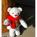 20081207_紅圍巾小熊