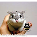 羊毛氈_小倉鼠綿綿01_felt hamster