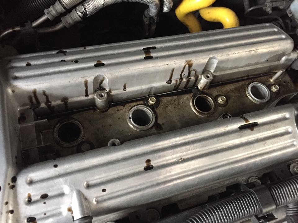 IMG_0044.JPG IMG_0044.JPG