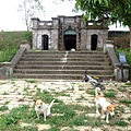 DSCF2476.JPG