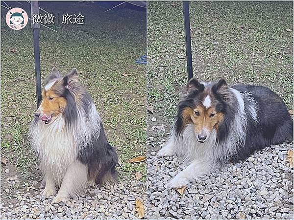 苗栗住宿_奢華露營_露營推薦_星原谷露營區-1.jpg 苗栗住宿_奢華露營_露營推薦_星原谷露營區-1.jpg