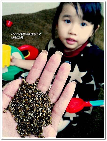 探索親子餐廳25 探索親子餐廳25