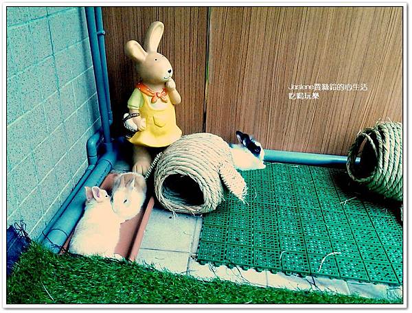 探索親子餐廳21 探索親子餐廳21