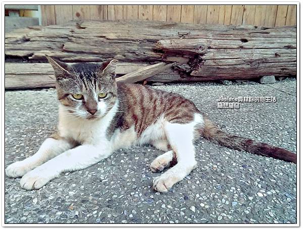 菁桐一日遊17 菁桐一日遊17
