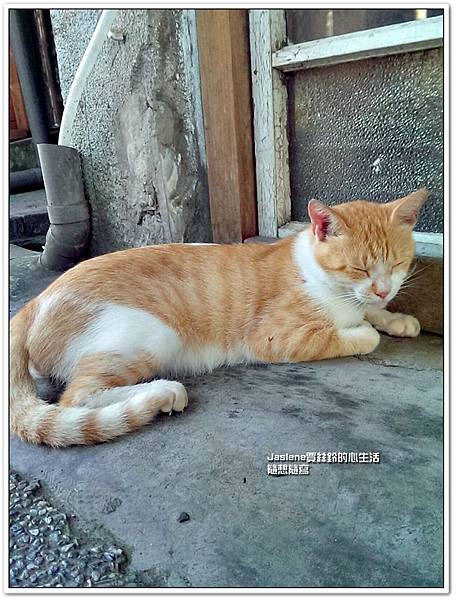 菁桐一日遊18 菁桐一日遊18