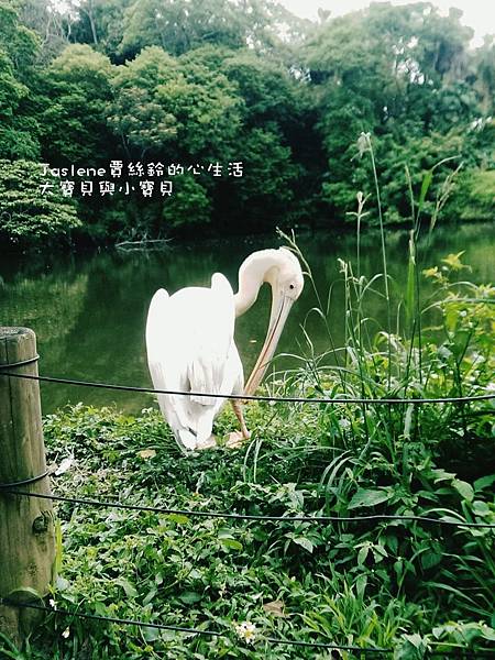 綠世界2 綠世界2