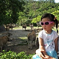 2Y8M26D_0051zoo.jpg