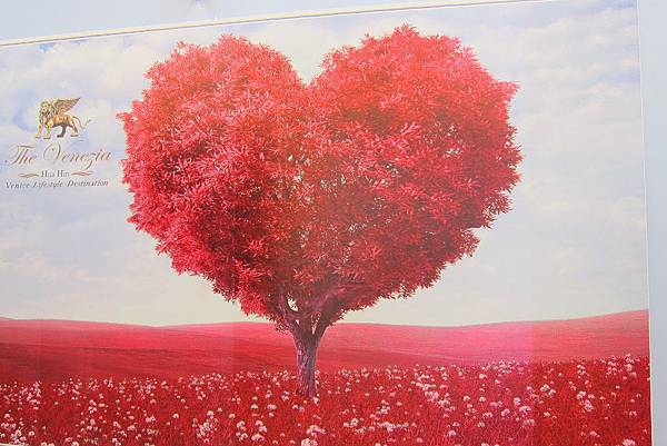 IMG_7791 (1024x683).jpg