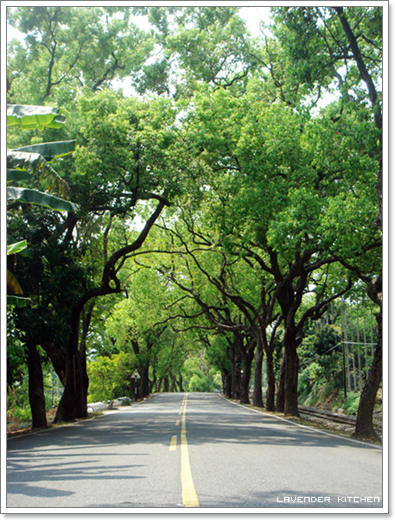 road2.png road2.png