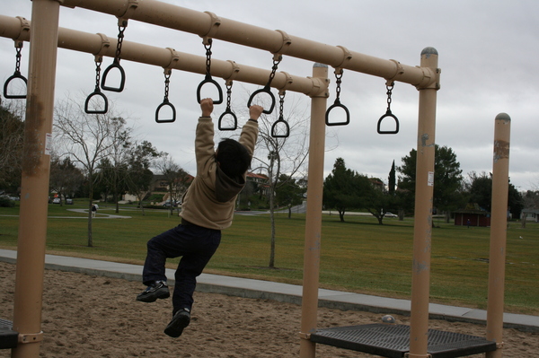 Monkey Bars