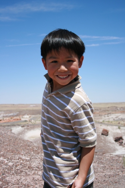 Petrified Forest NP