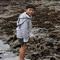 Tidepool