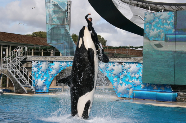 Shamu & the Tainner Shamu & the Tainner