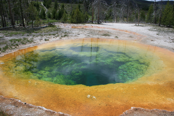 Upper Geyser Upper Geyser