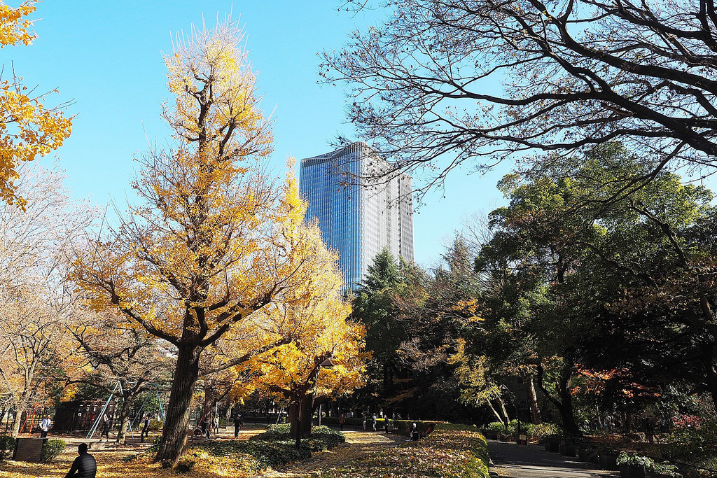 東京 千代田 景點 日比谷公園 東京市區內銀杏 楓葉 美食一次滿足三個願望 霞關 有樂町 皇居外苑 茉莉小姐說說話 痞客邦 東京 千代田 景點 日比谷公園 東京市區內銀杏 楓葉 美食一次滿足三個願望 霞關 有樂町 皇居外苑 茉莉小姐說說話 痞客邦