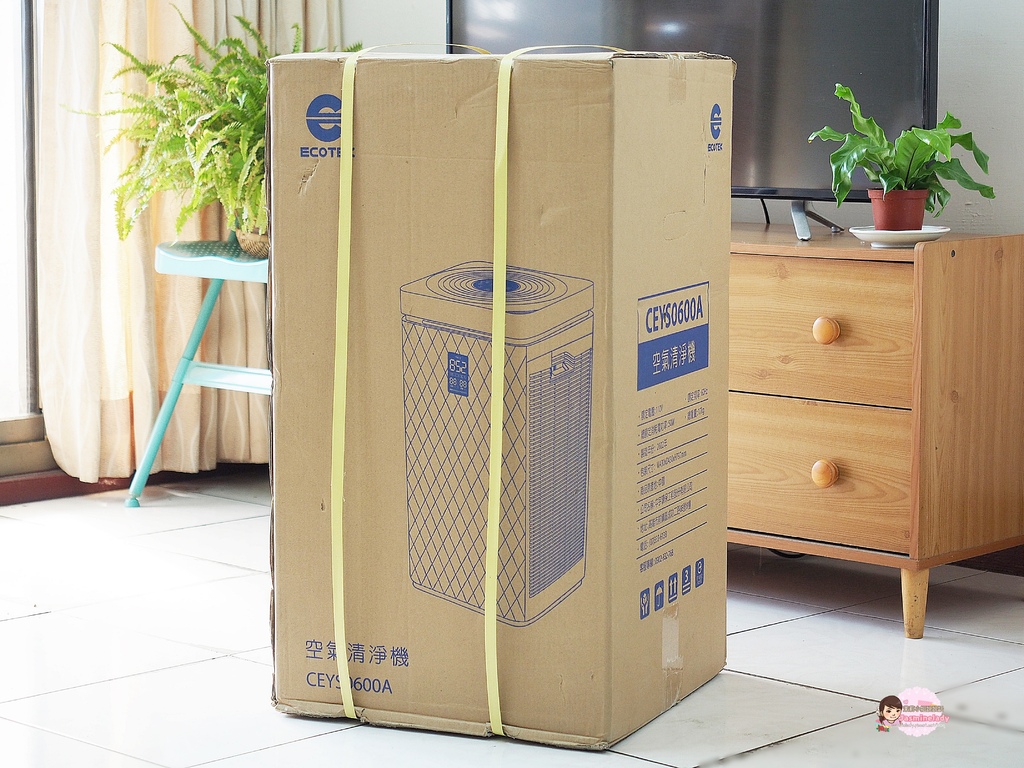 中宇環保GO清淨600A 001