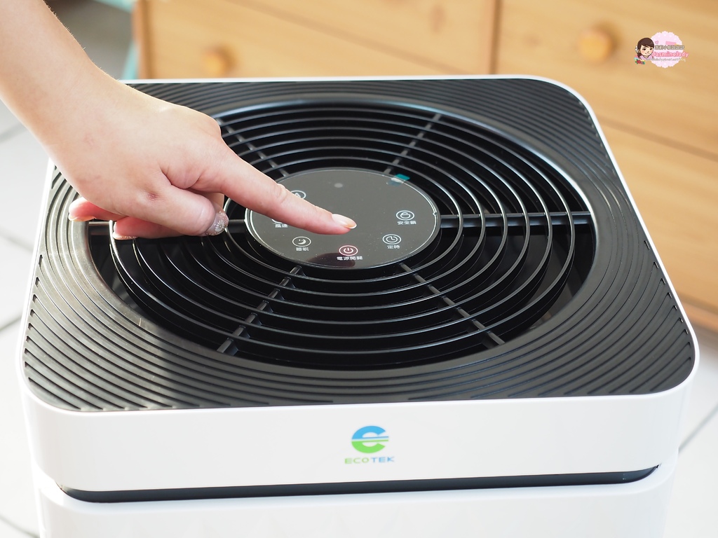 中宇環保GO清淨600A 009 中宇環保GO清淨600A 009