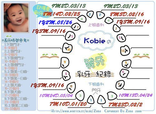 Kobie發芽紀錄第9-11顆.jpg