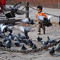 帕坦 杜巴廣場的追鴿小童