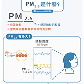 空汙PM2.5_是什麼-916x1024.png