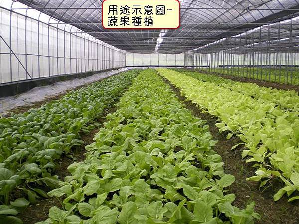 用途示意圖-種植蔬果2.jpg