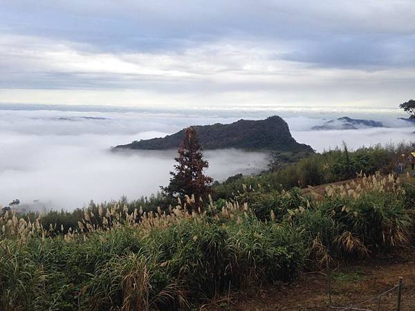 52793020_268807210687675_2009860187027931136_n.jpg 52793020_268807210687675_2009860187027931136_n.jpg