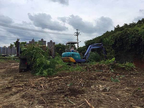 2015.08.17整地_5454.jpg 2015.08.17整地_5454.jpg