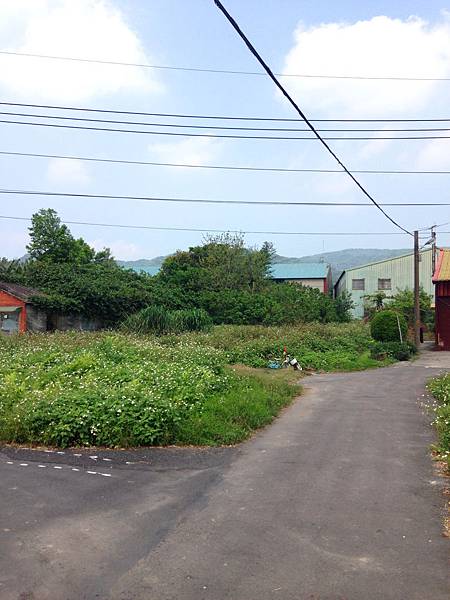 IMG_1645.jpg IMG_1645.jpg