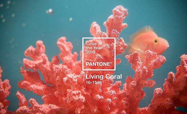 訂製家具交流 %count(title) 2019年度流行代表色 -Living Coral 活珊瑚橘