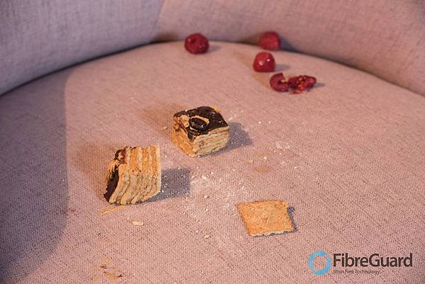 FibreGuard-進口防汙布料 (6).jpg FibreGuard-進口防汙布料 (6).jpg