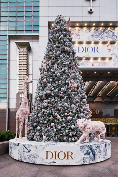 A19383_1543284635_2 A19383_1543284635_2