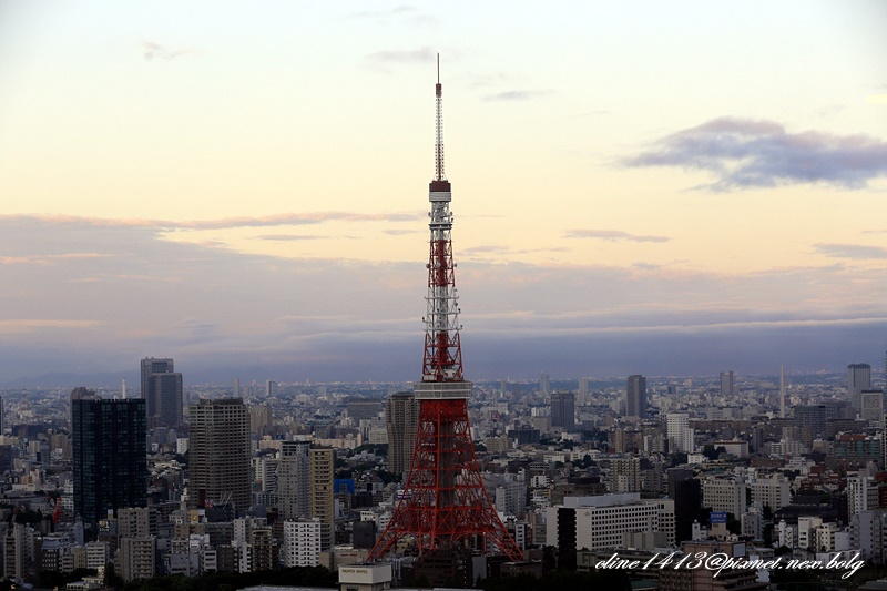 _MG_1289 _MG_1289
