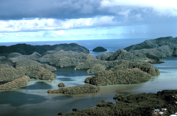 帛琉群島.jpg