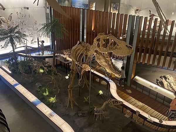 IMG_6697.JPG IMG_6697.JPG