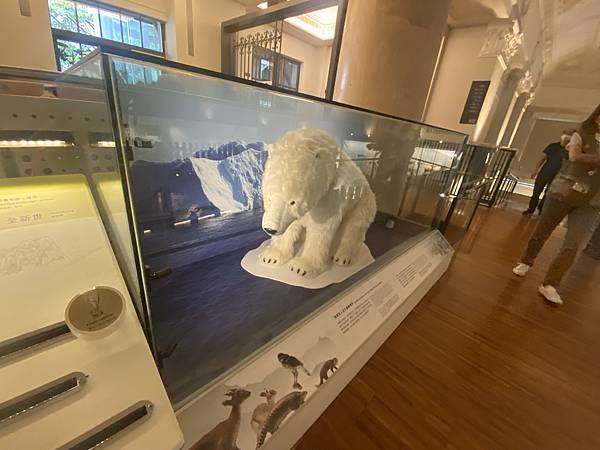 IMG_6696.JPG IMG_6696.JPG