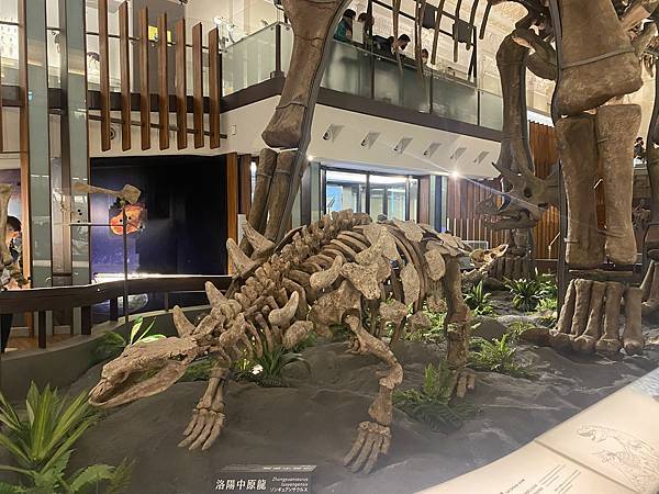 IMG_6715.JPG IMG_6715.JPG