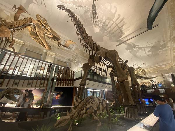 IMG_6717.JPG IMG_6717.JPG