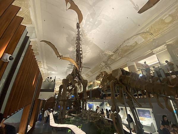 IMG_6714.JPG IMG_6714.JPG