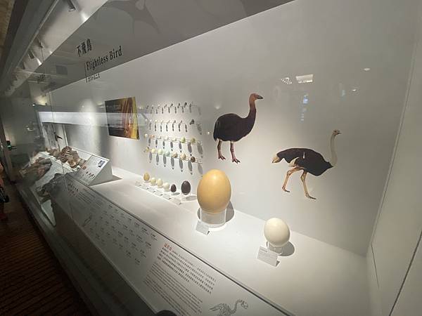 IMG_6711.JPG IMG_6711.JPG