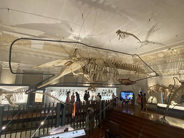 IMG_6692.JPG IMG_6692.JPG