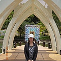 DSCN4254.jpg