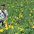 20150702_121650.jpg