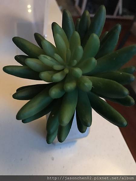 IMG_0330.JPG IMG_0330.JPG