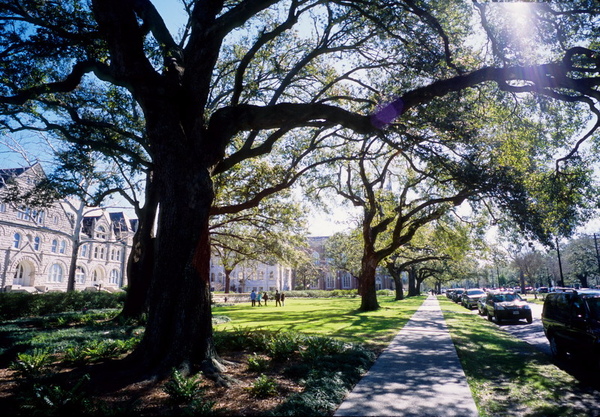 New Orleans119_resize