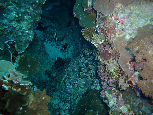 DSCF7758.JPG