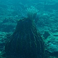IMG_1885.JPG